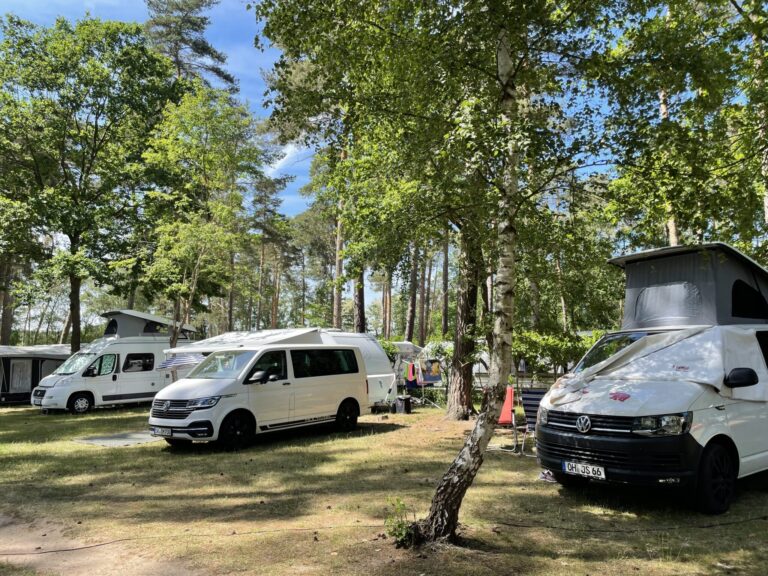 2022 Wohnmobile zur Eule scaled 1 768x576