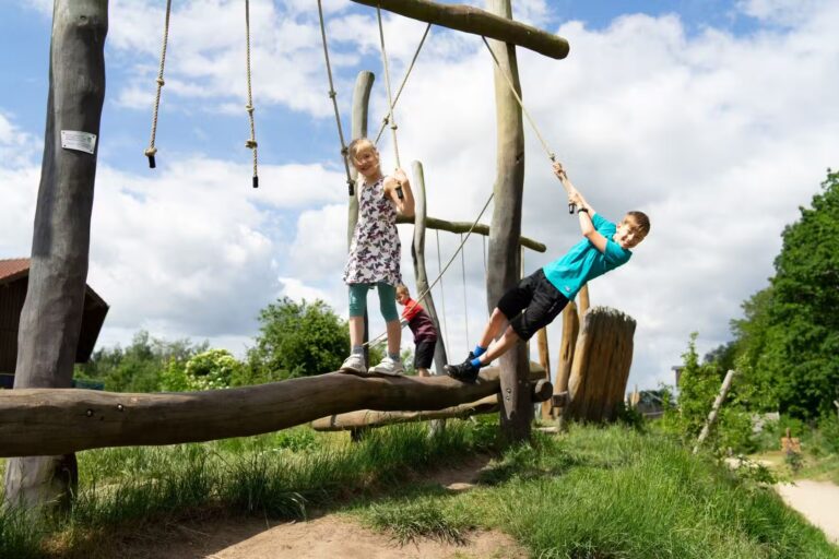 Alfsee Ferien und Erholungspark Abenteuerspielplatz fuer Kinder auf dem Campingplatz 3e42a113 bf6a 4e59 829a 32cccb364508 768x512