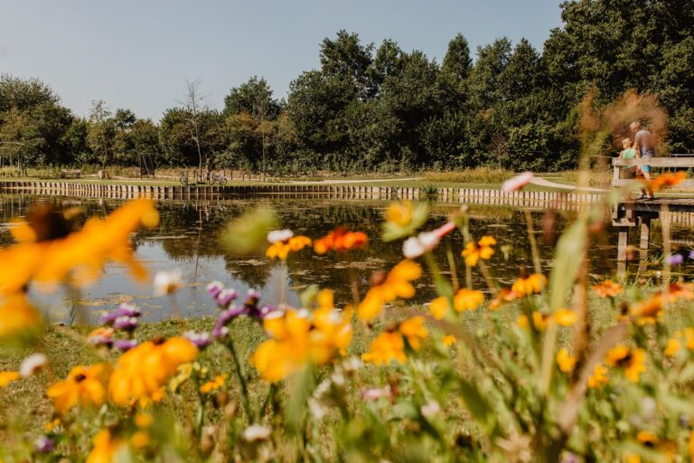 Camping De Kleine Wolf Blick auf den Teich auf dem Campingplatz mit Blumenwiese im Vordergrund 3b4e758e 4d78 4370 a802 53f0142d5bfd 768x512