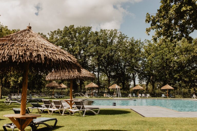 Camping De Kleine Wolf Pool im Freien mit Liegestuehlen und Sonnenschirmen 607a42e4 71aa 4954 a8d6 e3cc6be385cc 768x512