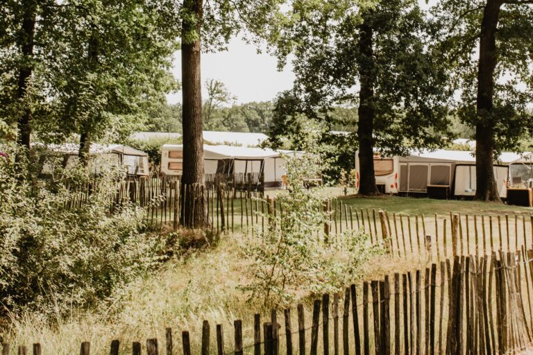 Camping De Kleine Wolf Standplaetze auf dem Campingplatz 90c62567 5766 4ad6 a9e7 204af20012b8 768x512