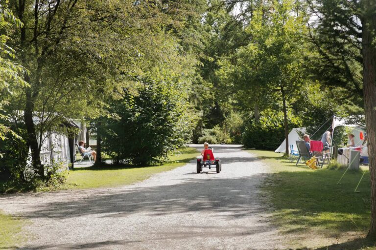 Camping De Wildhoeve Blick auf die Standplaetze auf dem Campingplatz e6eadd75 658d 477d 910f f4ca88bf7e8e 768x512