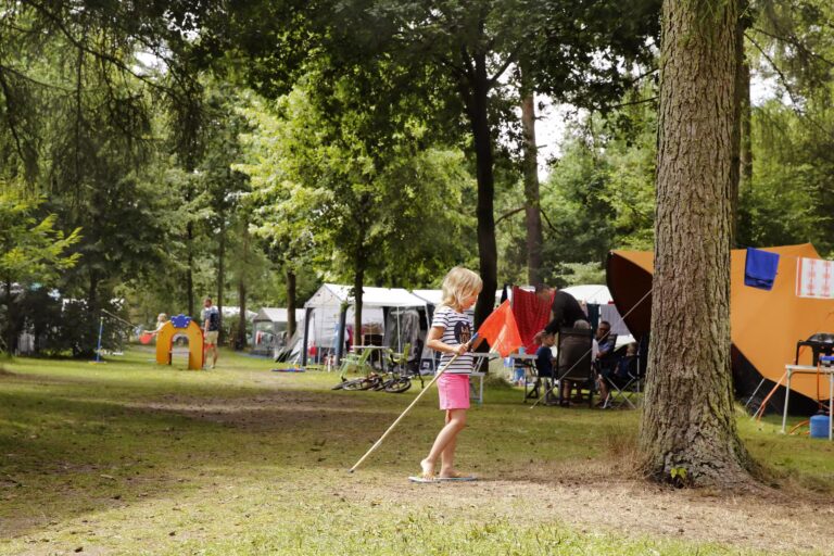 Camping De Wildhoeve Standplaetze auf dem Campingplatz cae733d5 b23b 4af5 9088 87cfc1af3a38 768x512