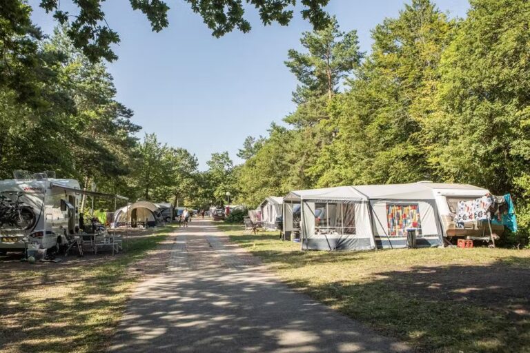 Camping Landal Sonnenberg Standplaetze auf dem Campingplatz umgeben von Baeumen 41aafe56 bfaa 4425 949f 5164e5f6d2ae 768x512
