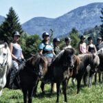 Camping Muenstertal Reiten auf dem Campingplatz 6d3dfa44 f03e 4e3b 9c71 cb186b47435c 150x150