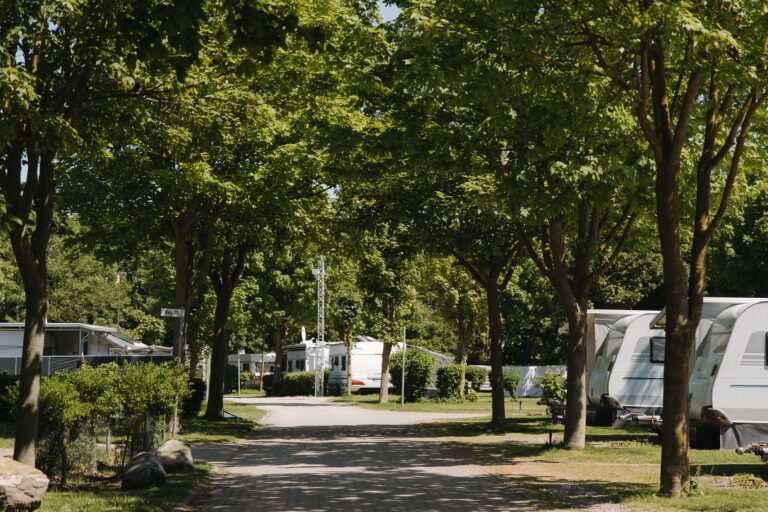 Camping Strukkamphuk Standplaetze auf dem Campingplatz 6f899964 d68a 4c7d 8311 2eda6c63bd0c 768x512