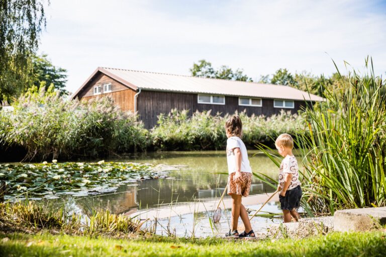 Camping Wirthshof Kinder beim Spielen am Teich c3fad599 3a00 43a7 80d4 326d3d908269 768x512