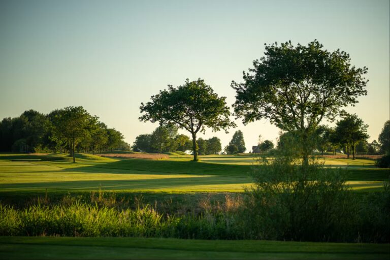 Camping Wulfener Hals 18 Loch Golfplatz in der Abendsonne 851323c5 4945 4faf 91f4 e7f386a5dcb2 768x512