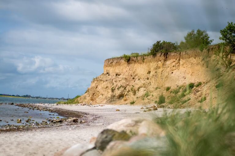 Camping Wulfener Hals Blick auf die Steilkueste am Campingplatz 2f0a5dd9 c658 4c0a 8df9 3777047c290e 768x512