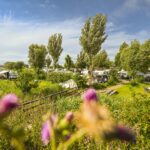 Camping Wulfener Hals Standplaetze auf dem Campingplatz 5aae8f4d 7bc3 4995 b3e0 f1fb37223f87 150x150