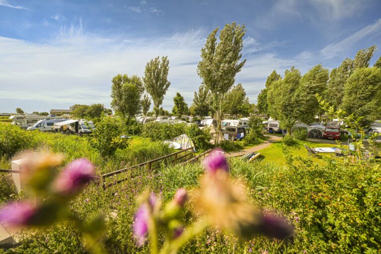 Camping Wulfener Hals Standplaetze auf dem Campingplatz 5aae8f4d 7bc3 4995 b3e0 f1fb37223f87 768x512