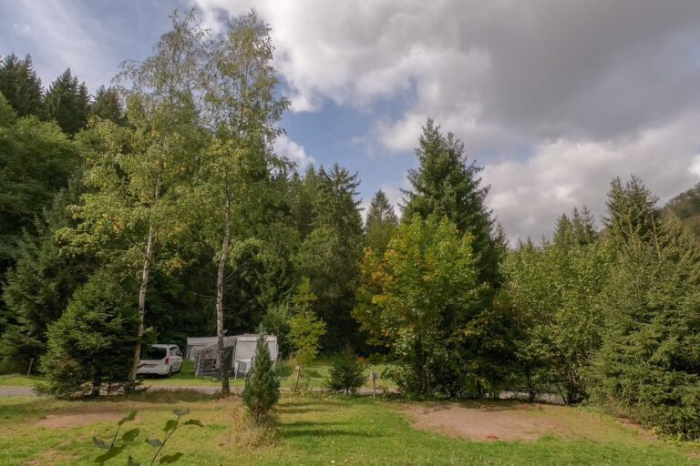 Camping im Waldwinkel Standplatz 4 768x512