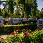 Campingpark Kuehlungsborn Wohnwagenstellplatz und Wohnmobilstellplatz vom Campingplatz im Gruenen zwischen Baeumen 150x150