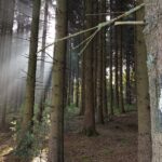 Campingpark im Bergischen Land Wanderwege im Wald in der Umgebung des Campingplatzes dd567d58 5f25 467f 8df4 f9a535df3a30 150x150