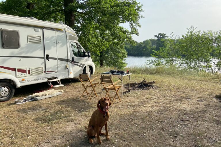 Campingplatz Am Kamernschen See Hunde willkommen auf dem Campingplatz 6a12553c b2ab 48f7 a103 04e043984cf7 768x512