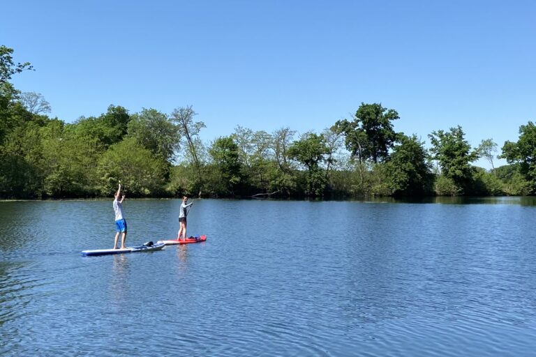 Campingplatz Am Kamernschen See Stand Up Paddling auf dem See als Freizeitaktivitaet 0e7eaa37 b433 48f2 9f5a 55d593347831 768x512