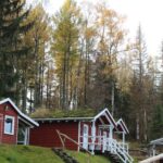 Campingplatz Am Schierker Stern Mobilheime mit Veranda auf dem Campingplatz 22fb275c 81a3 436b 8677 8bb3891567d8 150x150