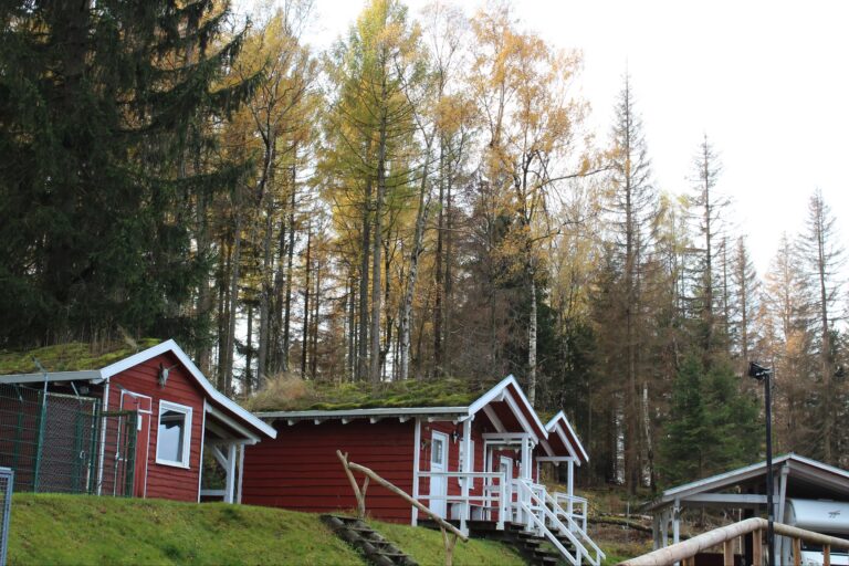 Campingplatz Am Schierker Stern Mobilheime mit Veranda auf dem Campingplatz 22fb275c 81a3 436b 8677 8bb3891567d8 768x512