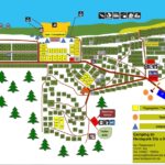 Campingplatz Heidepark Silz Vivaldi 2025 07 03 19 13 36 150x150