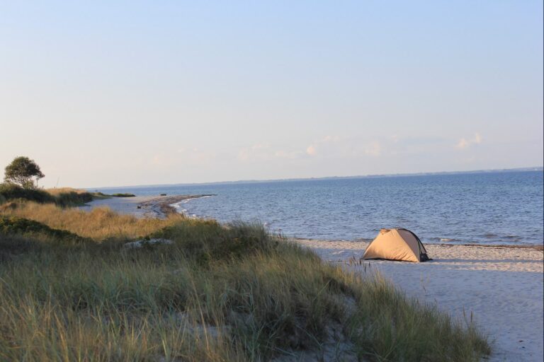 Campingplatz Ostseesonne Blick auf den Strand am Campingplatz 50bdb8c2 faee 4365 a429 5ec0f97fa8dd 768x512