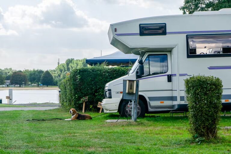Campingplatz Unterbacher See Nord Standplatz Hund 768x512