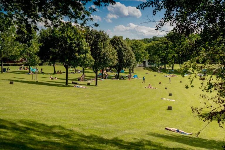 Campingplatz am Badesee Coswig Koetitz Die Gaeste liegen in der Sonne auf einem grossen gruenen Rasen 768x512