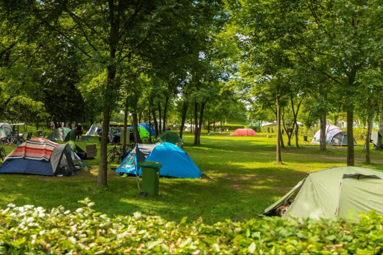 Campingplatz am Badesee Coswig Koetitz Zeltplaetze im Schatten der Baeume auf dem Campingplatz 768x512