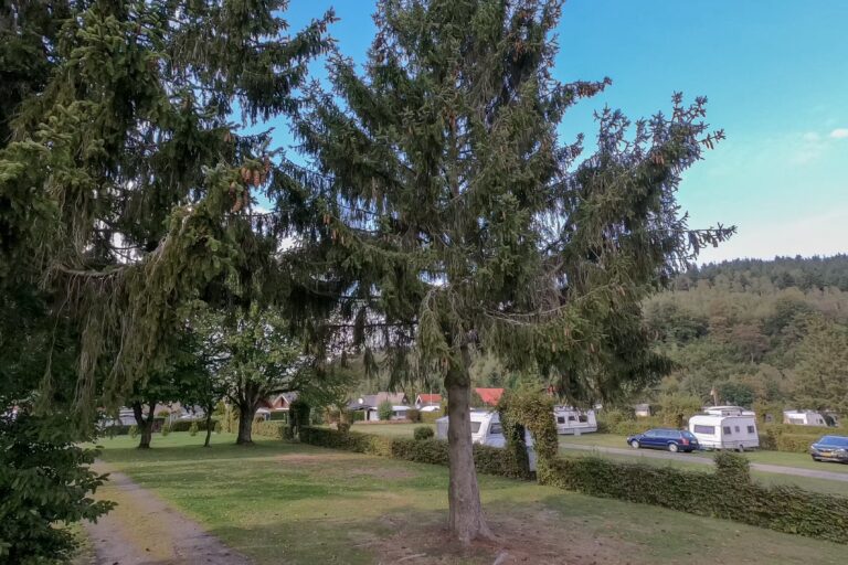 Campingplatz am Kraehenberg Standplatz 1 768x512