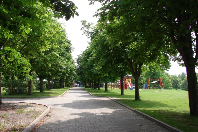 Campingplatz und Strandbad Hasse Spielplatz auf der gruenen Wiese auf dem Campingplatz 768x512