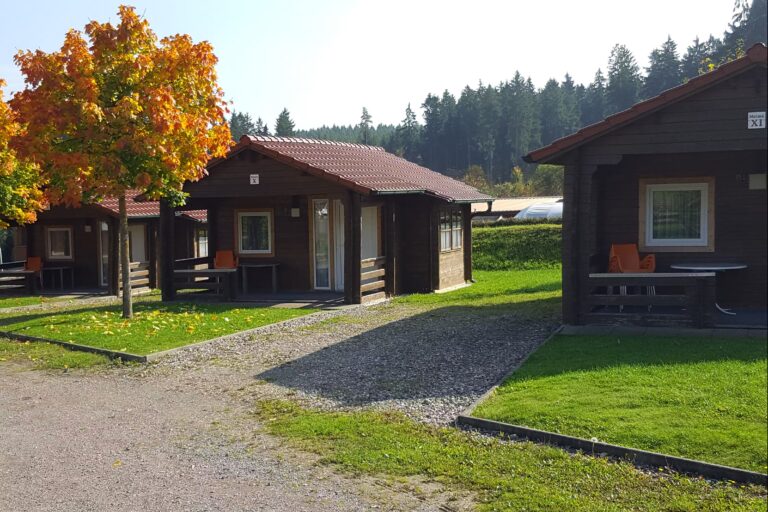Ferienpark Birnbaumteich Ferienhaeuser aus Holz im Gruenen auf dem Campingplatz am Wald 768x512