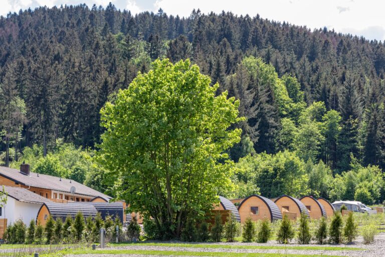 Harz Camp Goslar Ferienwohnungen im Gruenen auf dem Campingplatz 768x512