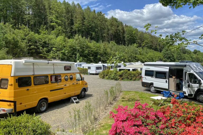 Harz Camp Goslar Wohnmobil und Wohnwagenstellplaetze umringt von Wald 768x512