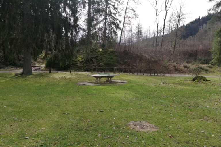 Harzklubs Wanderheim Wildemann Lagerfeuerstelle auf dem Campingplatz 37d83758 3e22 44db 87fc 3d52a674da6d 768x512