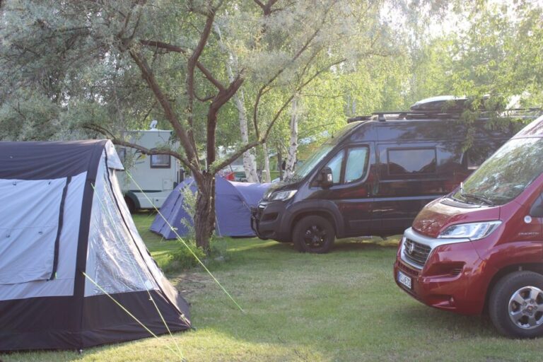 IMG 4645 1024x683 1 768x512