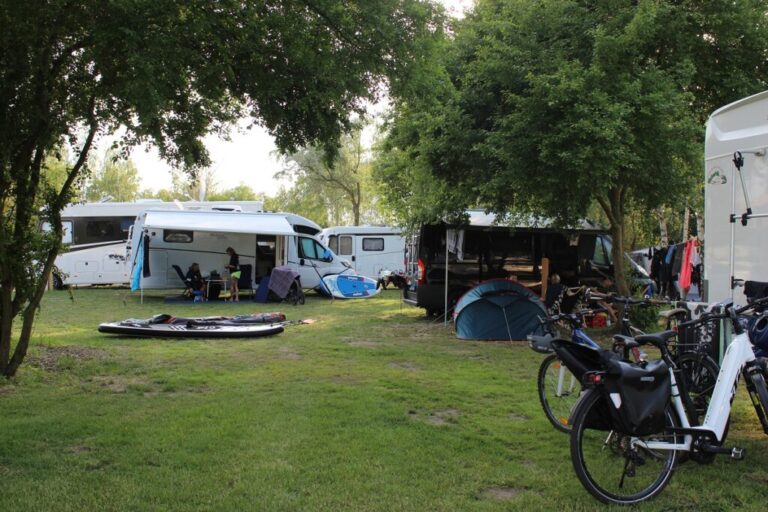 IMG 4649 1024x682 1 768x512