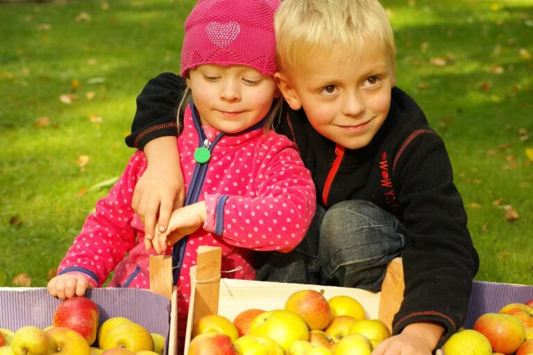 Kurcamping Harz Ernte im Obstgarten auf dem Campingplatz 768x512
