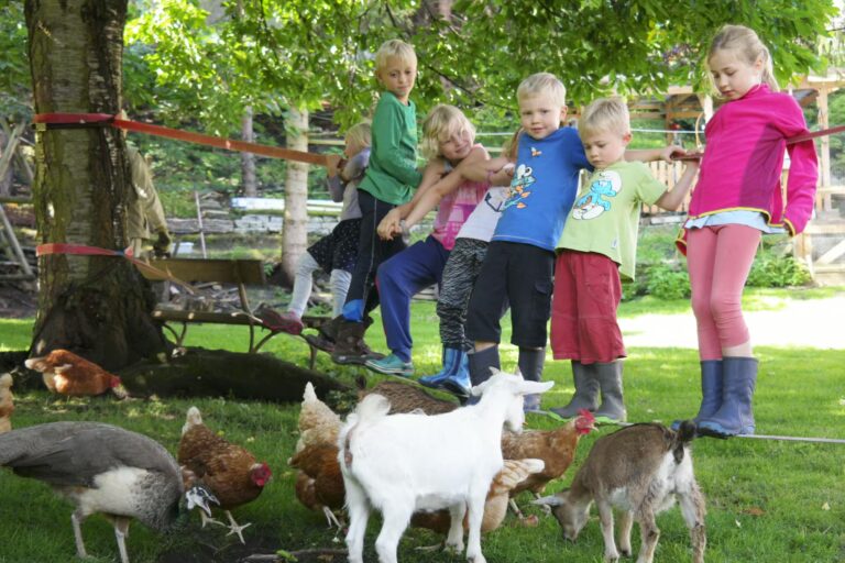 Kurcamping Harz Tiergarten vom Campingplatz mit Zwergziegen 768x512