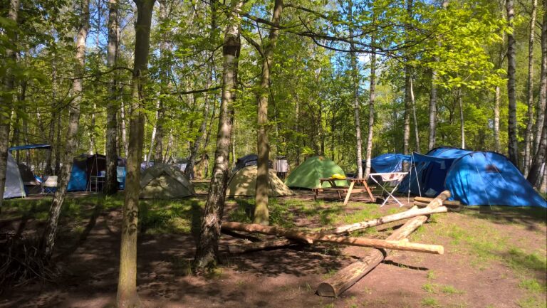 Naturcampingplatz am Olbasee Zeltplaetze im Halbschatten 06d57850 2150 4948 b78a 5fa722f4e57c 768x433