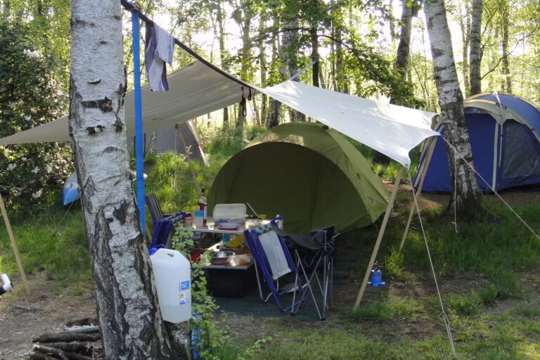 Naturcampingplatz am Olbasee Zeltplaetze im Schatten der Baeume f8cc3116 4723 4bdb 81ef daa2461a1428 768x512