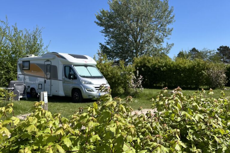 Ostseecamp Gluecksburg Holnis Wohnmobil und Wohnwagenstandplaetze auf der Wiese 5f62a424 462d 40df bee2 e24983a6da84 768x512
