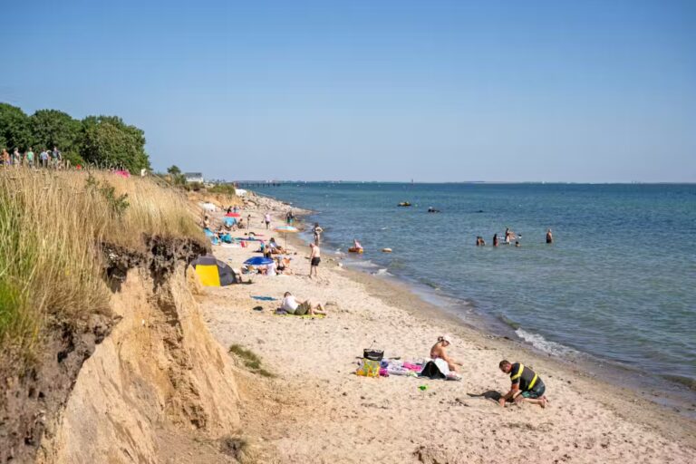 Rosenfelder Strand Ostsee Camping Blick auf den Badestrand am Campingplatz 5bce1af6 3b4a 4608 be57 57d9434e6066 768x512