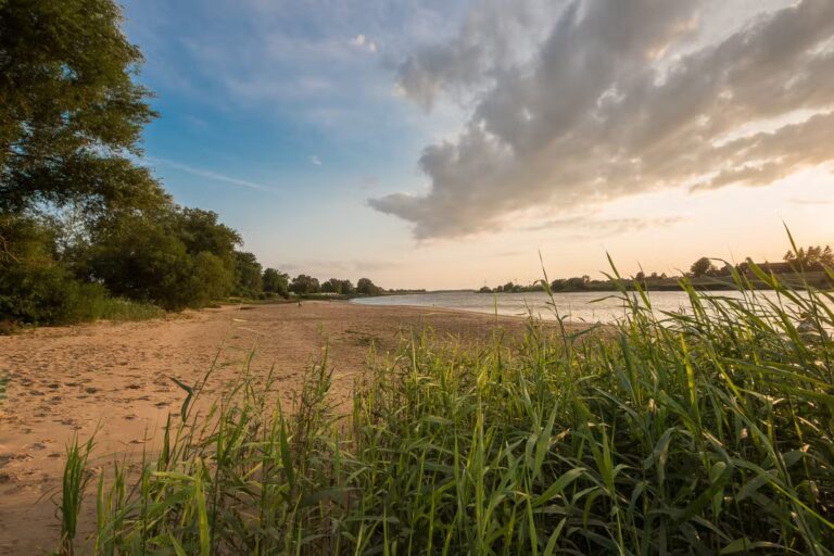 Stover Strand Camping Badestrand am Campingplatz 906a2197 9714 4cff b46c bb0c5c657c29 768x512