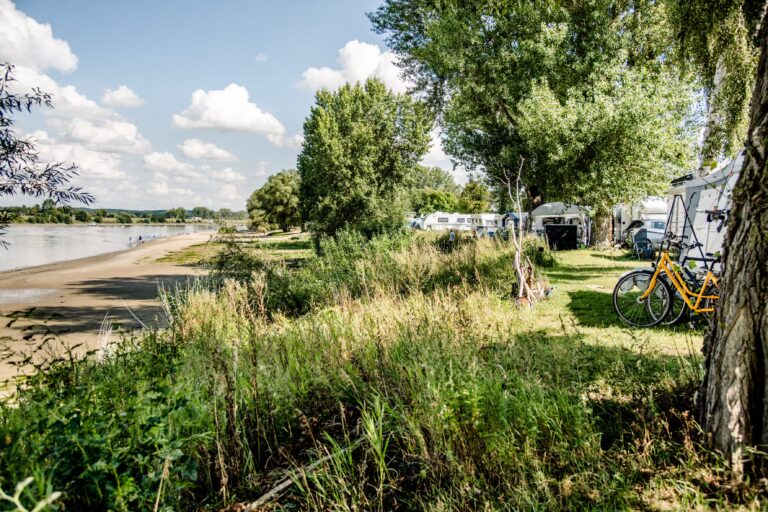 Stover Strand Camping Standplaetze auf dem Campingplatz d12bb6b9 a4c0 4a3a 985d d7eb46db100b 768x512