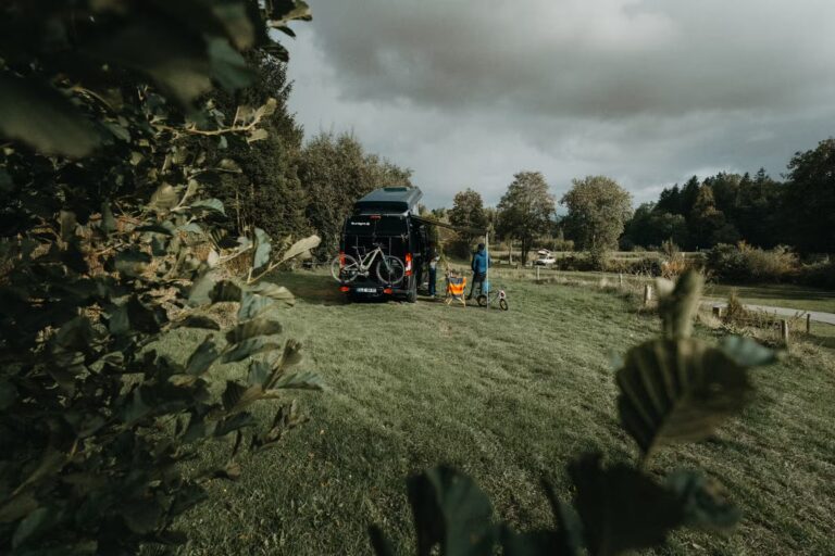 Wildwood Camping Harz Camping Waldweben Standplaetze auf der Wiese auf dem Campingplatz 73d4b375 8341 476c 9d46 a2fa943dadd3 768x512