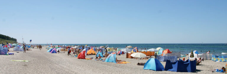 csm 57 Strand im sommer af1641e883 768x252