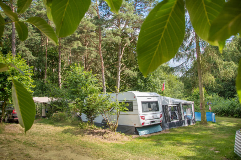 noerdlicher platzteil fkk camping raetzsee 768x512
