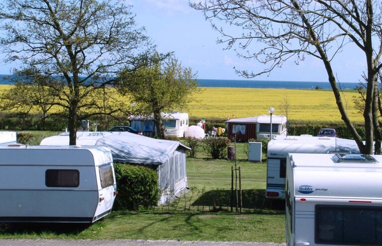 ostsee campingplatz stellplatz deich 8 768x494