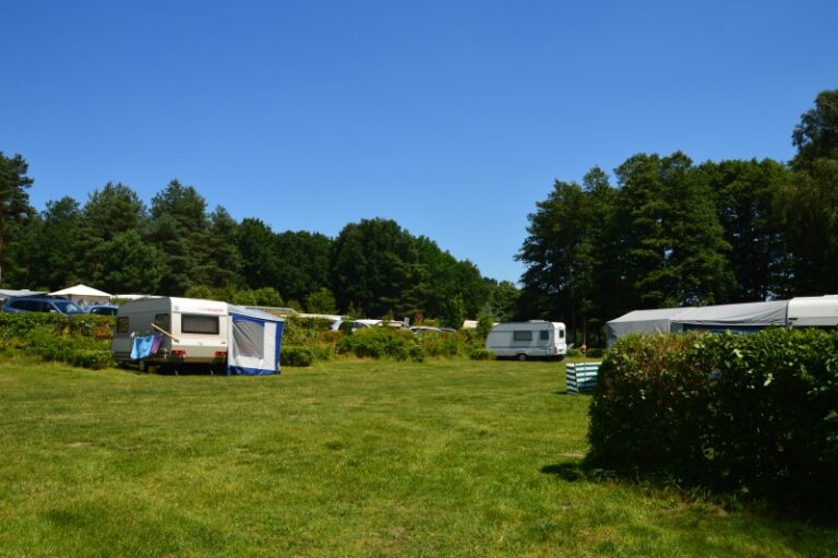 rehberge wiese 768x511