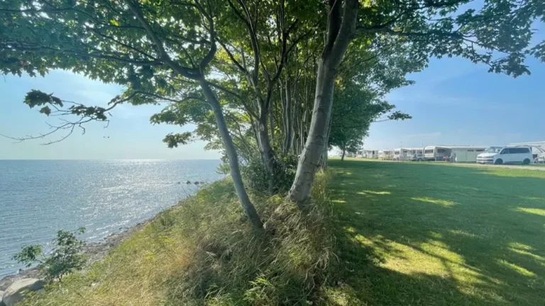 willkommen auf dem campingplatz 768x432