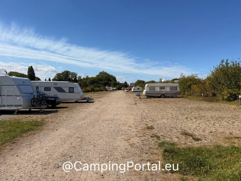 2025 08 26 14.53.45 768x576